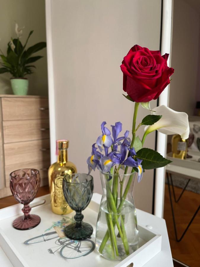 Romantic Room For Two Persons Poreč Extérieur photo